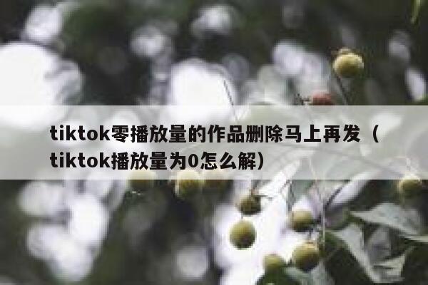 tiktok零播放量的作品删除马上再发（tiktok播放量为0怎么解） 第1张