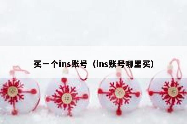 买一个ins账号（ins账号哪里买） 第1张