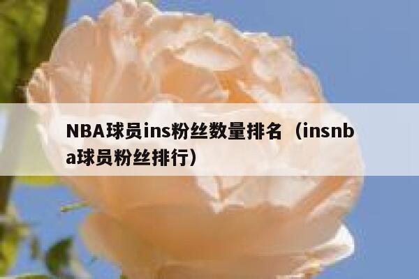 NBA球员ins粉丝数量排名（insnba球员粉丝排行） 第1张