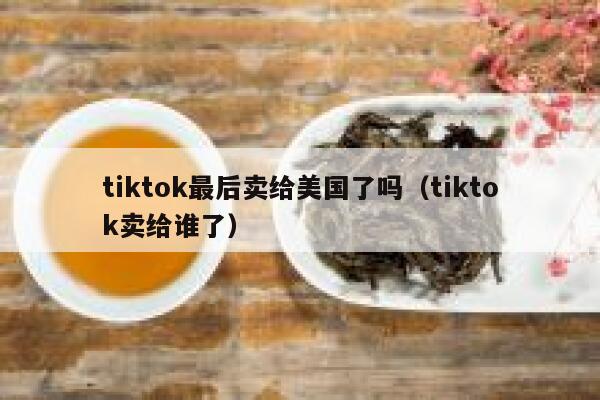 tiktok最后卖给美国了吗（tiktok卖给谁了） 第1张
