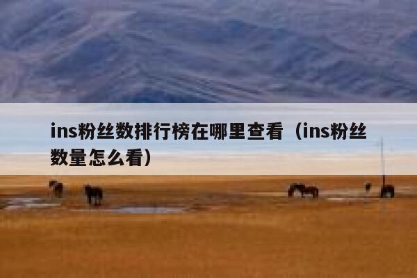 ins粉丝数排行榜在哪里查看（ins粉丝数量怎么看） 第1张