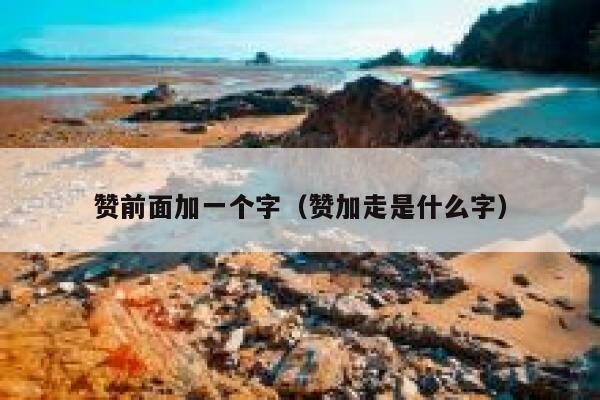 赞前面加一个字（赞加走是什么字） 第1张