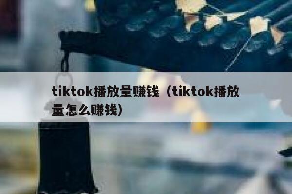 tiktok播放量赚钱（tiktok播放量怎么赚钱） 第1张