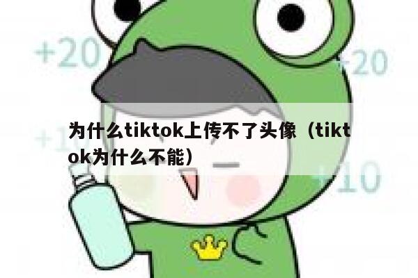 为什么tiktok上传不了头像（tiktok为什么不能） 第1张
