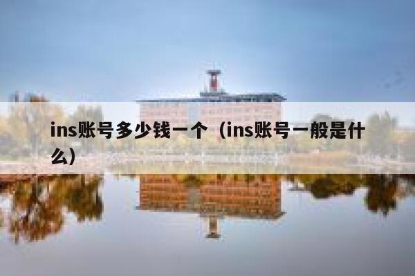 ins账号多少钱一个（ins账号一般是什么） 第1张