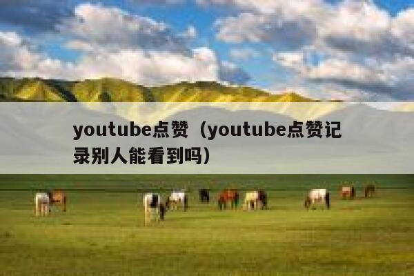 youtube点赞（youtube点赞记录别人能看到吗） 第1张