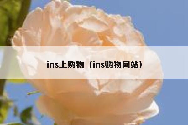 ins上购物（ins购物网站） 第1张