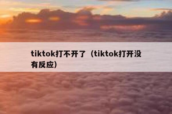 tiktok打不开了（tiktok打开没有反应） 第1张