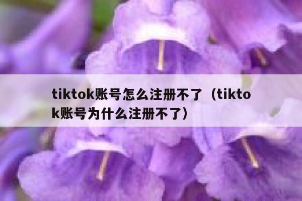 tiktok账号怎么注册不了（tiktok账号为什么注册不了） 第1张