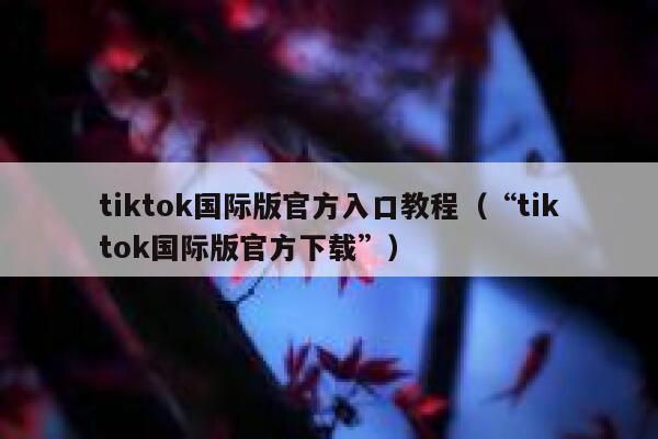tiktok国际版官方入口教程（“tiktok国际版官方下载”） 第1张