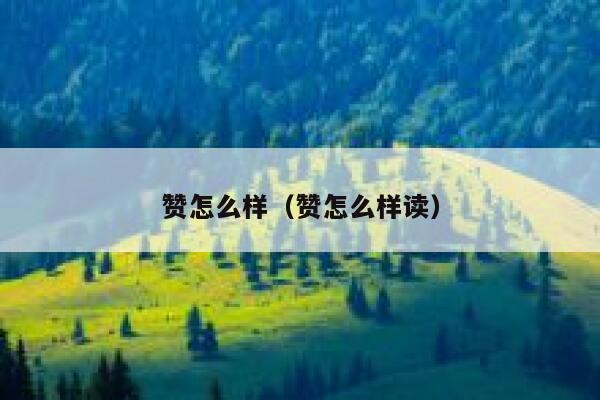 赞怎么样（赞怎么样读） 第1张