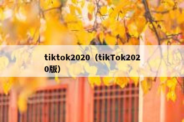 tiktok2020（tikTok2020版） 第1张