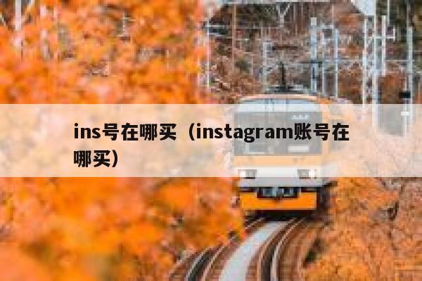ins号在哪买（instagram账号在哪买） 第1张