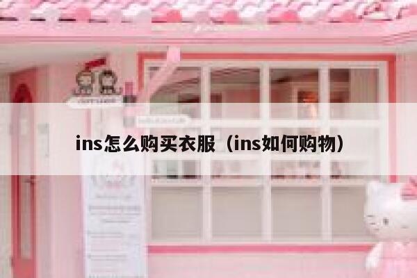 ins怎么购买衣服（ins如何购物） 第1张