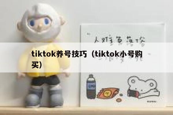 tiktok养号技巧（tiktok小号购买） 第1张