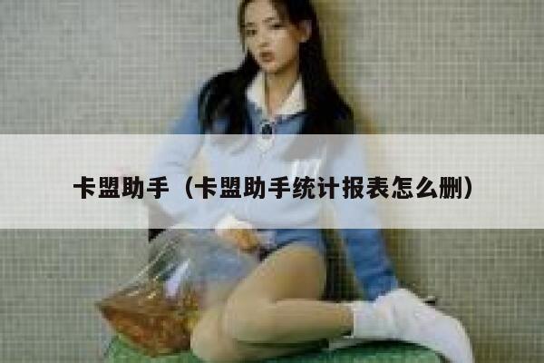 卡盟助手（卡盟助手统计报表怎么删） 第1张
