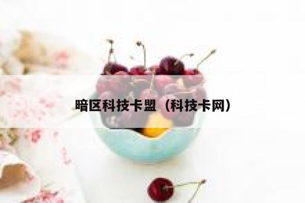 暗区科技卡盟（科技卡网） 第1张