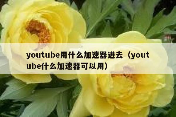 youtube用什么加速器进去（youtube什么加速器可以用） 第1张