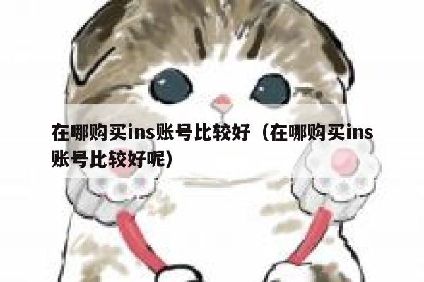 在哪购买ins账号比较好（在哪购买ins账号比较好呢） 第1张