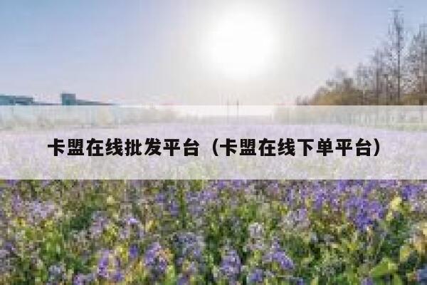 卡盟在线批发平台（卡盟在线下单平台） 第1张