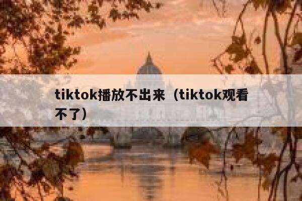 tiktok播放不出来（tiktok观看不了） 第1张