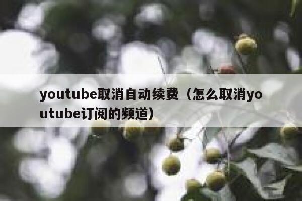 youtube取消自动续费（怎么取消youtube订阅的频道） 第1张