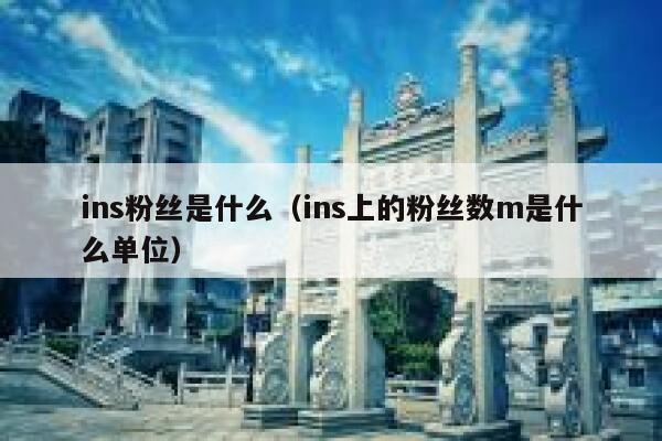 ins粉丝是什么（ins上的粉丝数m是什么单位） 第1张