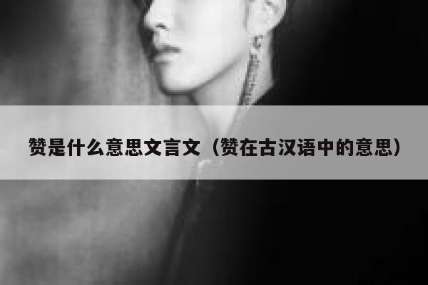 赞是什么意思文言文（赞在古汉语中的意思） 第1张