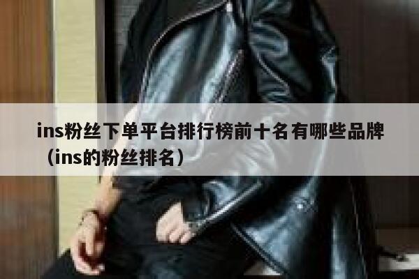 ins粉丝下单平台排行榜前十名有哪些品牌（ins的粉丝排名） 第1张