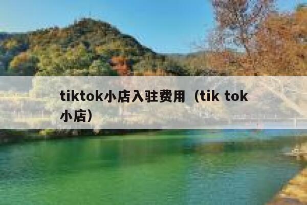 tiktok小店入驻费用（tik tok小店） 第1张