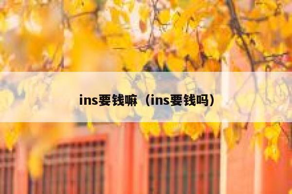 ins要钱嘛（ins要钱吗） 第1张