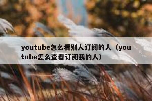 youtube怎么看别人订阅的人（youtube怎么查看订阅我的人） 第1张