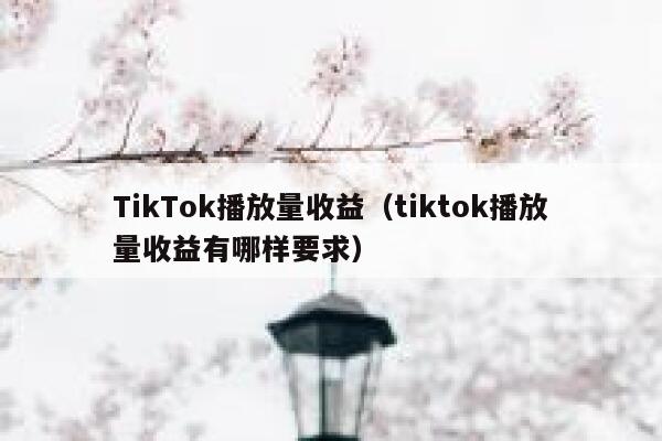 TikTok播放量收益（tiktok播放量收益有哪样要求） 第1张