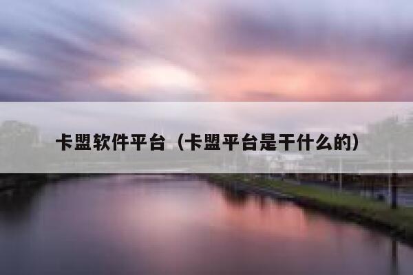 卡盟软件平台（卡盟平台是干什么的） 第1张