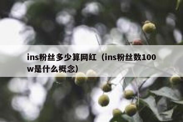 ins粉丝多少算网红（ins粉丝数100w是什么概念） 第1张