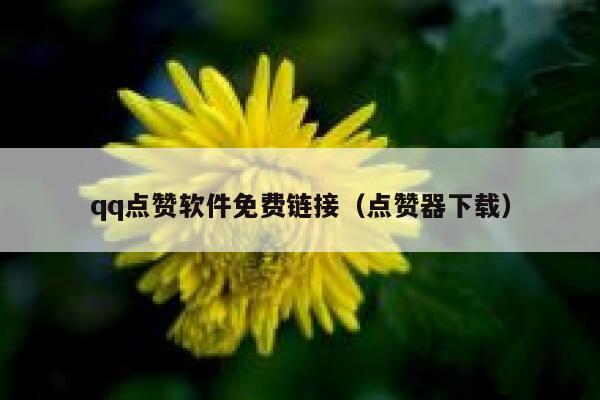 qq点赞软件免费链接（点赞器下载） 第1张