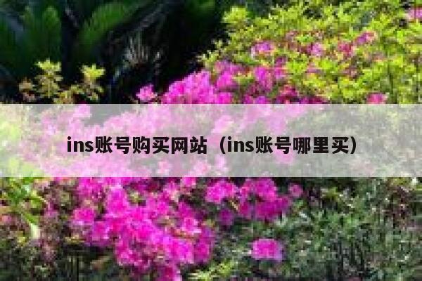 ins账号购买网站（ins账号哪里买） 第1张