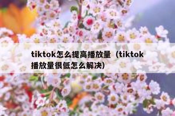 tiktok怎么提高播放量（tiktok播放量很低怎么解决） 第1张