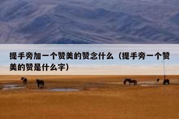 提手旁加一个赞美的赞念什么（提手旁一个赞美的赞是什么字） 第1张