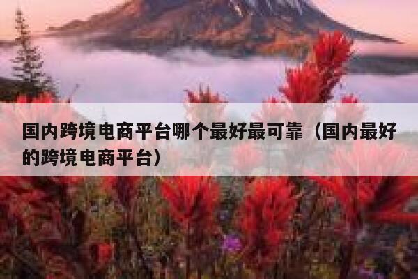 国内跨境电商平台哪个最好最可靠（国内最好的跨境电商平台） 第1张