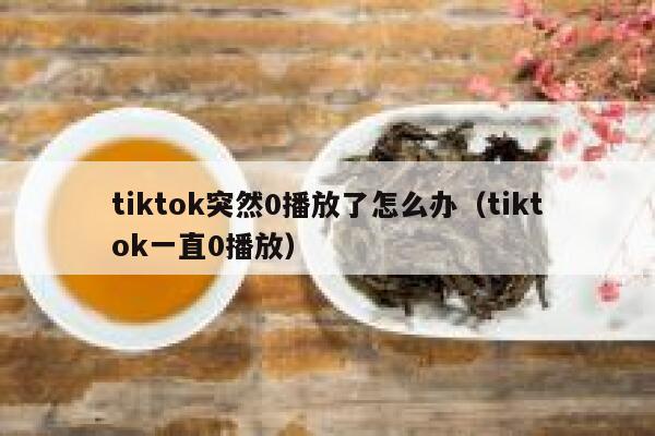 tiktok突然0播放了怎么办（tiktok一直0播放） 第1张