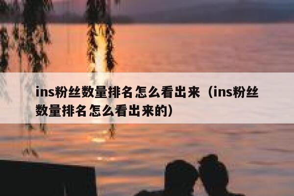 ins粉丝数量排名怎么看出来（ins粉丝数量排名怎么看出来的） 第1张
