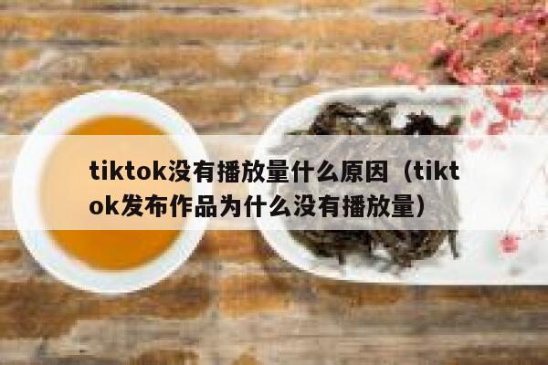 tiktok没有播放量什么原因（tiktok发布作品为什么没有播放量） 第1张