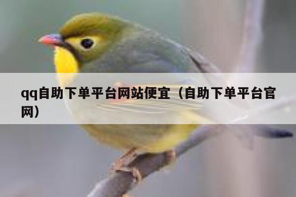 qq自助下单平台网站便宜(自助下单平台官网) 第1张 qq自助下单平台网站便宜(自助下单平台官网) 第1张