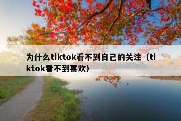 为什么tiktok看不到自己的关注（tiktok看不到喜欢） 第1张