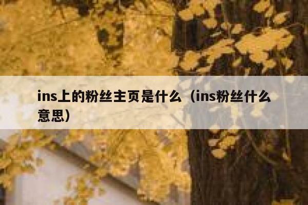 ins上的粉丝主页是什么（ins粉丝什么意思） 第1张