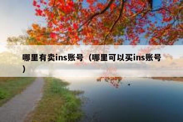 哪里有卖ins账号（哪里可以买ins账号） 第1张