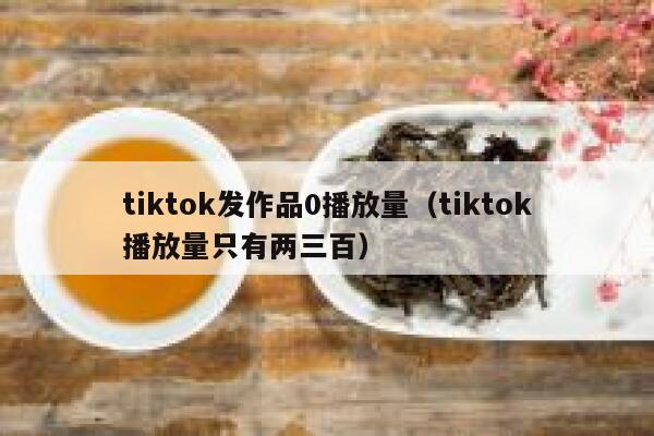 tiktok发作品0播放量（tiktok播放量只有两三百） 第1张