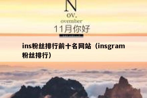 ins粉丝排行前十名网站（insgram粉丝排行） 第1张