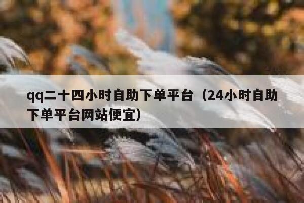 qq二十四小时自助下单平台（24小时自助下单平台网站便宜） 第1张